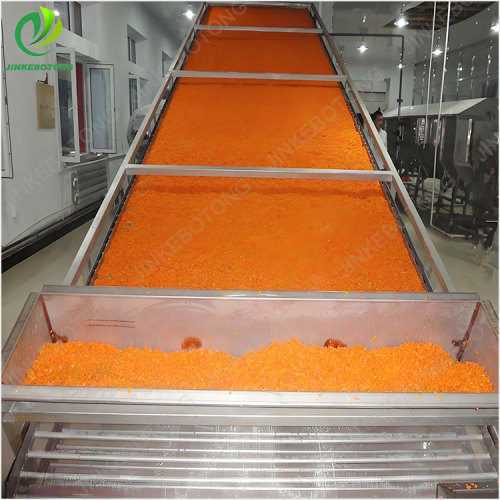 Innovative Mesh Belt Drying Equipment