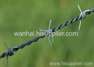 Double Twist Barbed Wire 