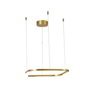 Modern Creative LED Chandelier for Living Room and Hotel Dinning Areas