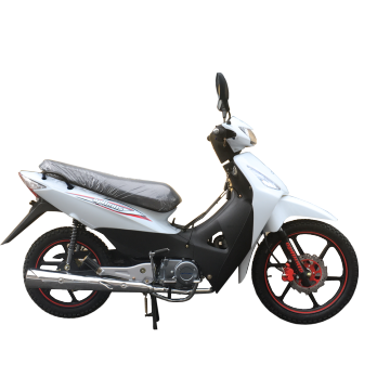 OPTIMUS Brand 135cc Cub Bike for Sale - White OP135-IVD