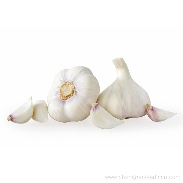 Pure White Garlic Cloves Chinese Garlic