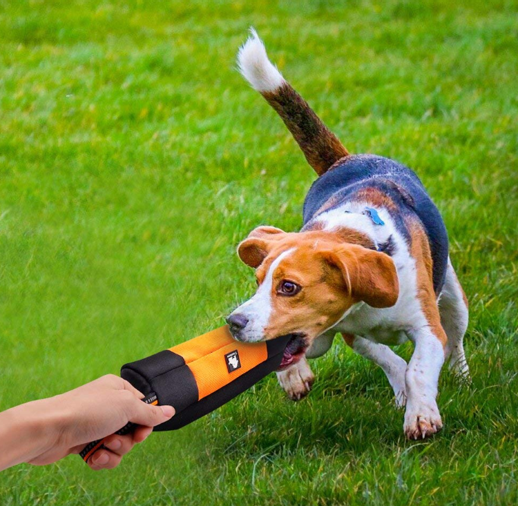 Dog Pouch Snack Bag