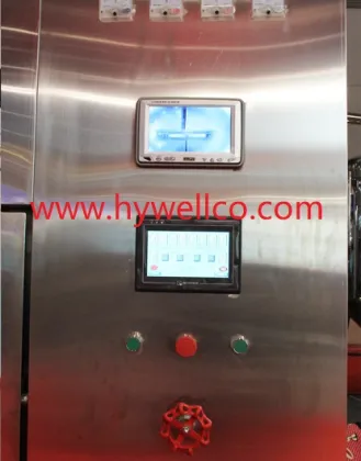 Microwave Red Dates Vacuum Drying Machine