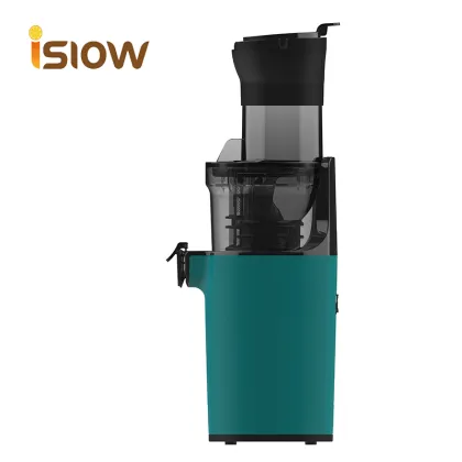 Masticating Steel Vacuum Portable Juicer: Small Portable Powder Juicer