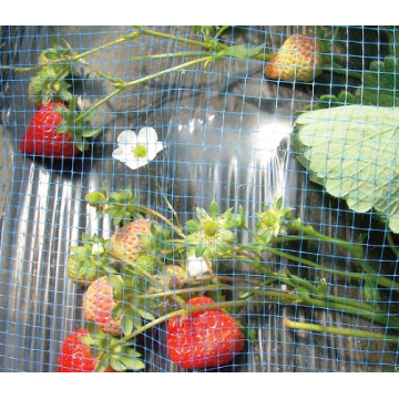 High quality blue strawberry support net