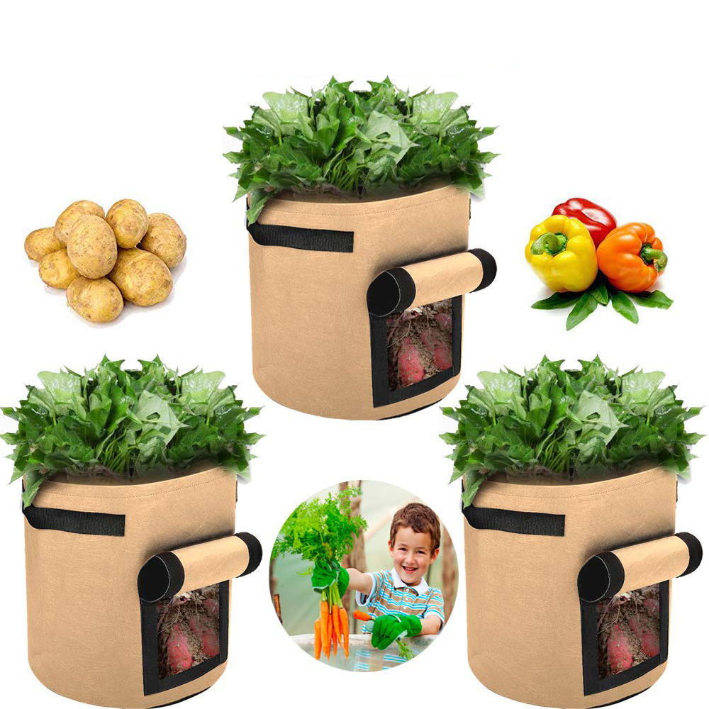Potato Grow Bag with windows