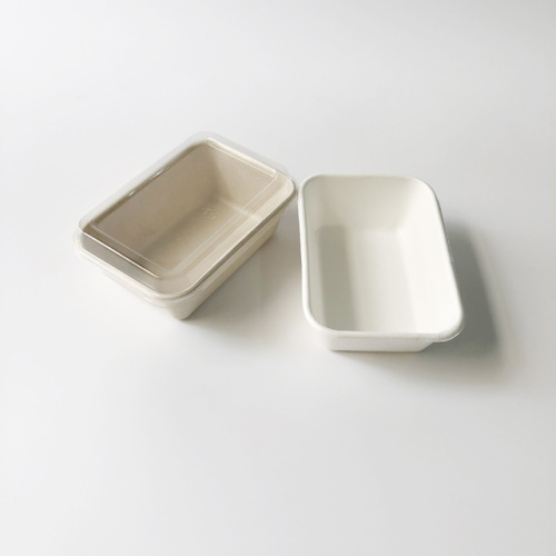 Bagasse Trays With PET Lid Factory Wholesale 370ml Bagasse Tray With PET Lid Manufacturers Manufactory