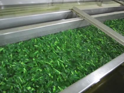New Crop Iqf Fresh Frozen Vegetables , Frozen Rape Flower For Restaurants
