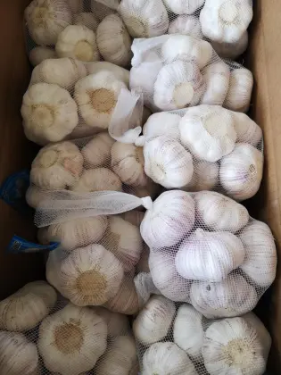 NORMAL white garlic jinxiang