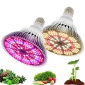 Plant Growth Par Light