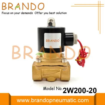 2W200-20 Brass Water Solenoid Valve 3/4'' 24V 220V