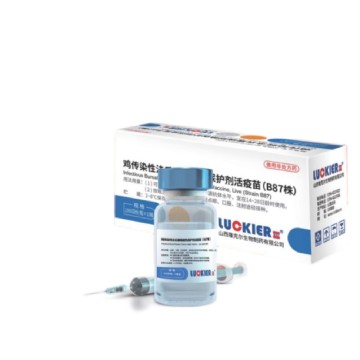 Vaccin vivant thermostable contre la MII (souche B87)