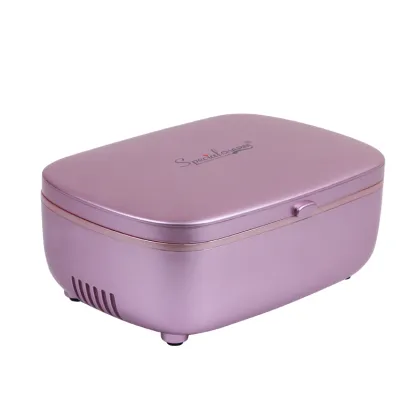 2025 Multi-functional Home Beauty Instruments: Skin Care Tools & Skin Ability Activator