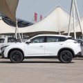 Dongfeng Aeolus Mage 2025 1.5T Premium Edition