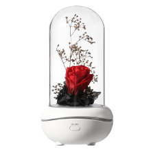 Personal portable Flower diffuser aromatherapy