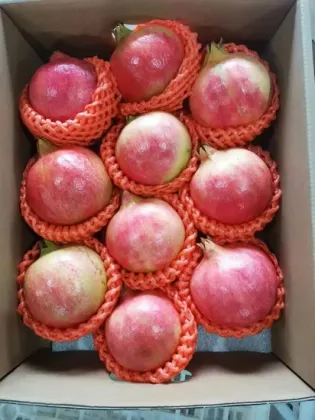 Premium Selection Soft-Seed Pomegranate