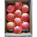Premium Selection Soft-Seed Pomegranate