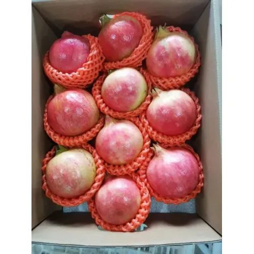 Premium Selection Soft-Seed Pomegranate