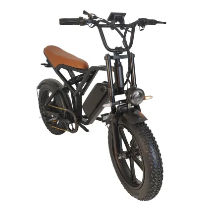 Snow retro electric bicycle