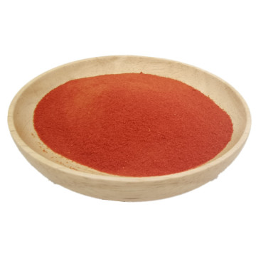 OEM service natural tomato extract dried tomato powder