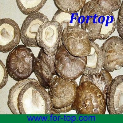 Dried Shiitake Mushroom 2013 New Crop