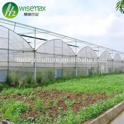 2018 Hot sale agricultural solar plastic sunshine greenhouse
