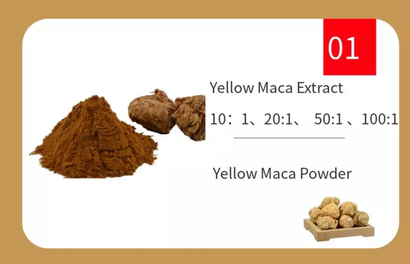 Health Care Products Black Maca