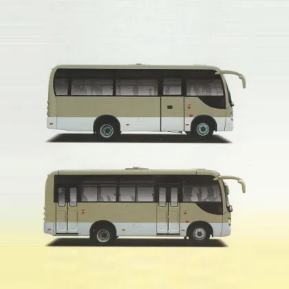 Bus Customization 6m Yellow Sea Bus