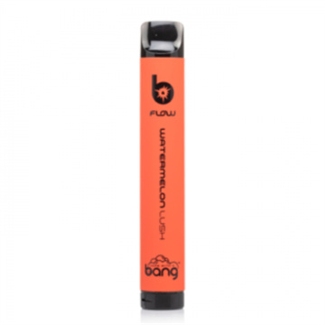 Bang Flow Disposable Vape Pen E Cigarette Device