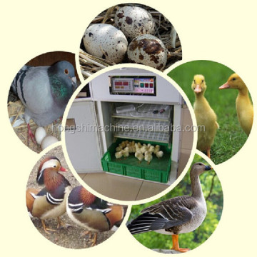Kapasiti Tinggi Inkubator Telur 10000 penuh automatik (48-22528 telur)
