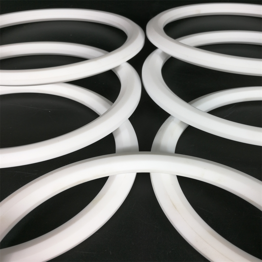 PTFE SINTAL BUNDK