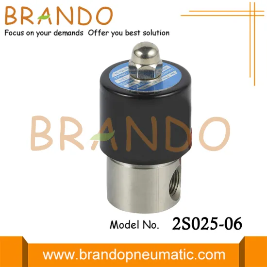 2S025-06 1/8'' Stainless Steel Solenoid Valve 24V 110V 220V