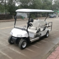 Carritos de golf estilo ezgo personalizados para 6 personas