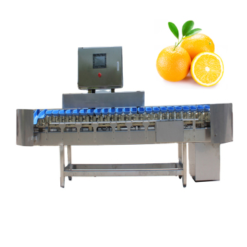 304 Machine de tri de poids de crevettes en acier inoxydable de qualité alimentaire