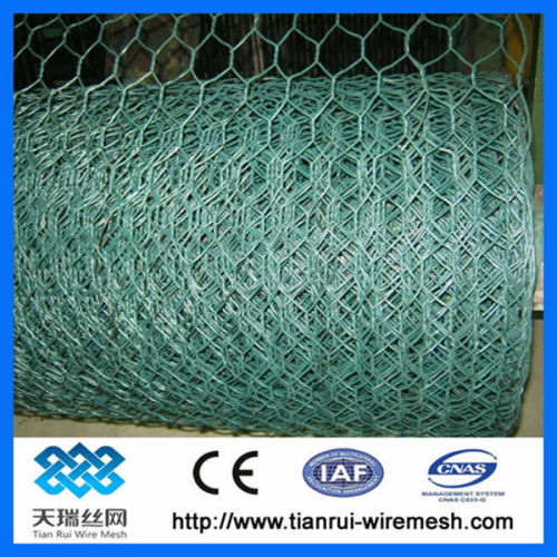 green vinyl coated hexagonal wire netting