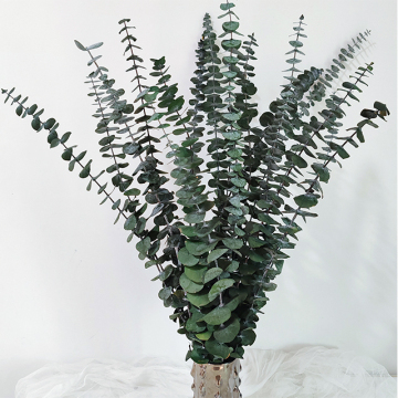 Wholesale Yunnan Immortal Copper Coin with Eucalyptus Leaves and Dried Flowers for Home Decoration