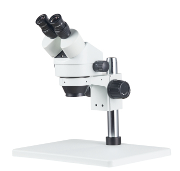 Digital Medical Laboratory Binocular Microscope