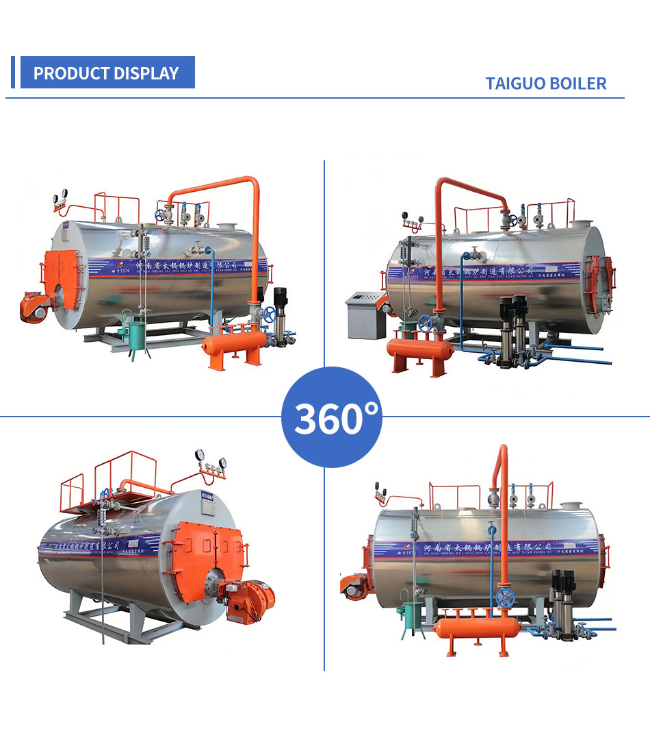 oilgas fired boiler (14)