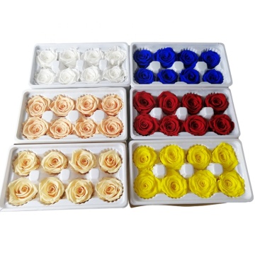 Valentine's Day Gift: Preserved Rose Heads on Sale