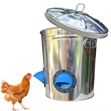 Wholesale Custom Color 18L Galvanized Metal Bucket Chicken Feeder with Lid