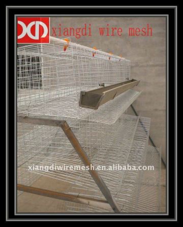 poultry layer cages