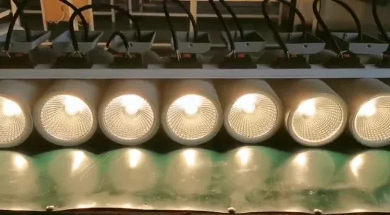 Aluminum up and down AC220V 20W double heads