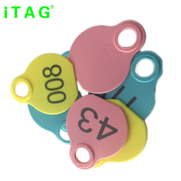 2019 New Original Factory Neck Tags in Sky Blue, Pink, and Yellow for Cow, Sheep, and Pig Identification
