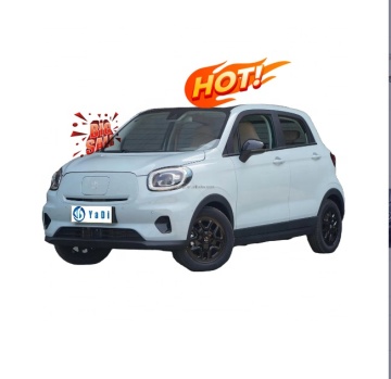Leapmotor T03: High Quality and Comfortable Pure Electric Vehicle