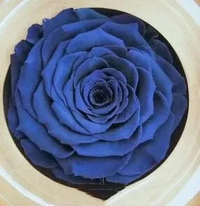 Best Gift: Forever Preserved Colorful Rose Bouquet