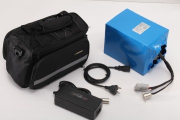 Naked package electric bike LiFePO4 battery 48V 20ah