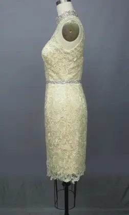 Cocktail Sexy Evening Lace Dresses