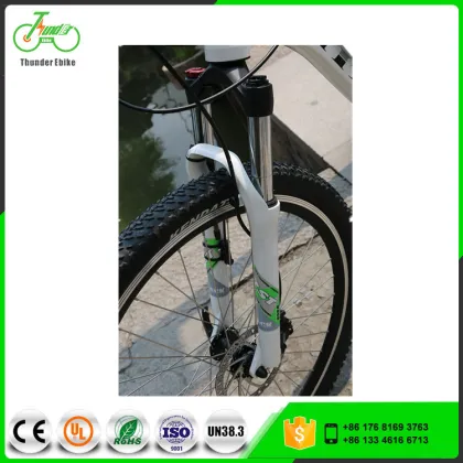 Electric Mountain Bikes with 250W-8Fun Brand Motor