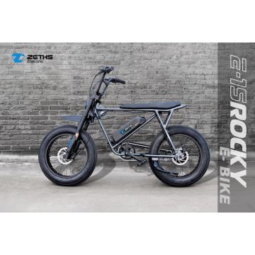 Electric Bicycle para sa Adult Rocky