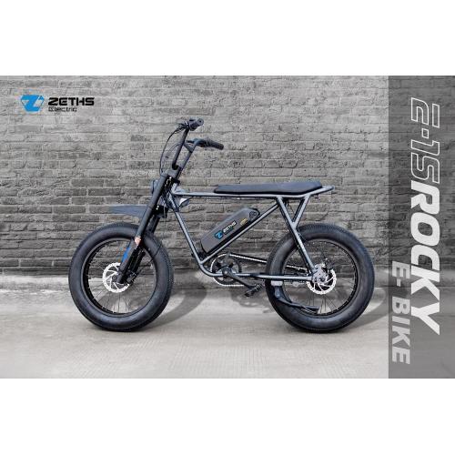 Bike Electricity Ebike Electric bicycle for adult Rocky Manufactory